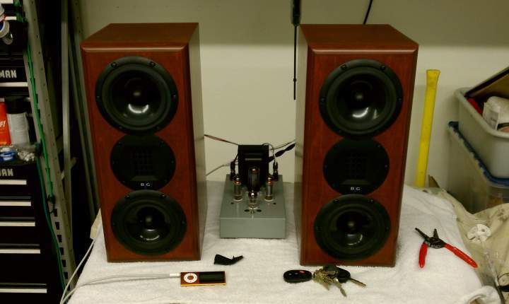 Best speaker for low watt guitar amp hot sale