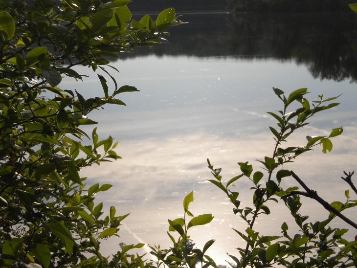(Untitled)