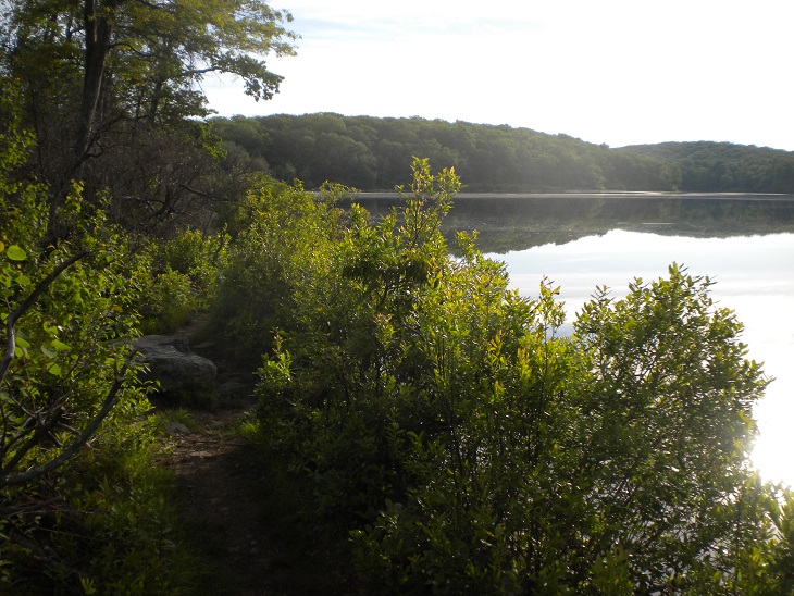 (Untitled)