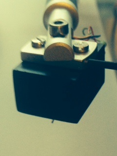 photo 1 (21)