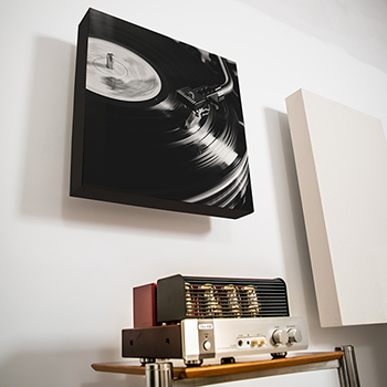 RW Acoustics PRO Series panel