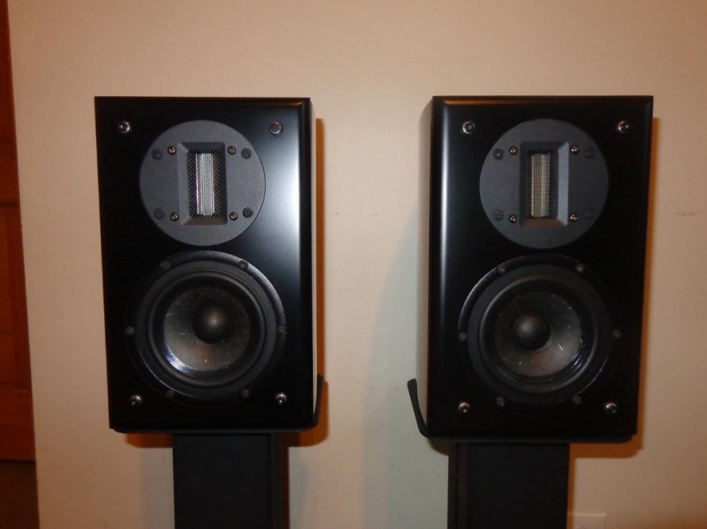 Selah 2way monitor