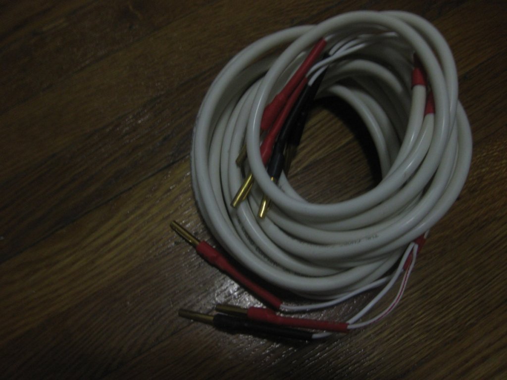 (Untitled)
