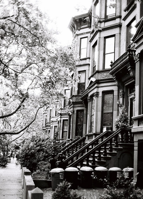 Brooklyn Park Slope Brownstone - The lovely tree lined brownstone block in Park Slope where the May rave happened.