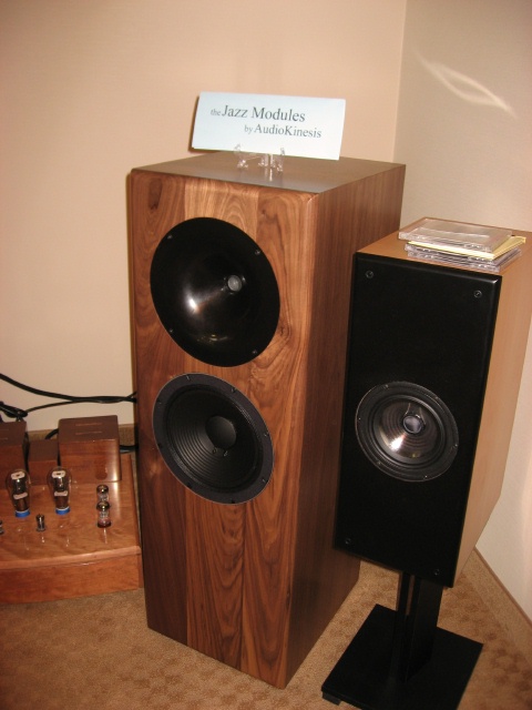 Audio Kinesis Room