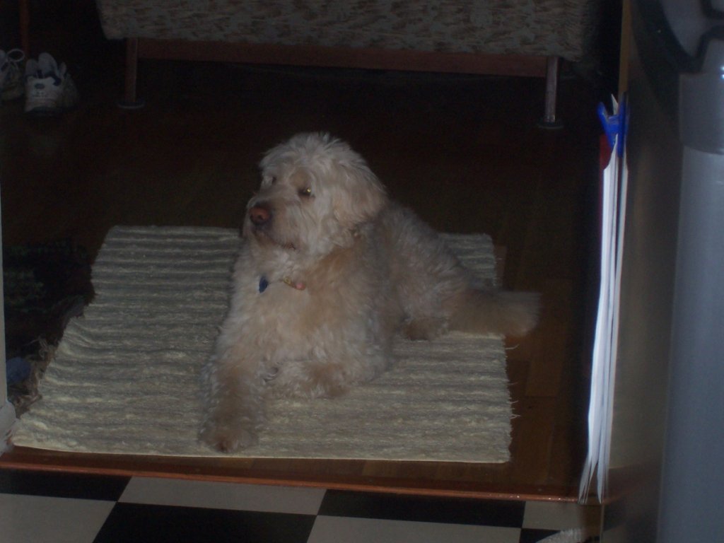 (Untitled)