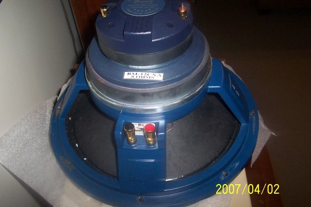 PAudio 12" coax...