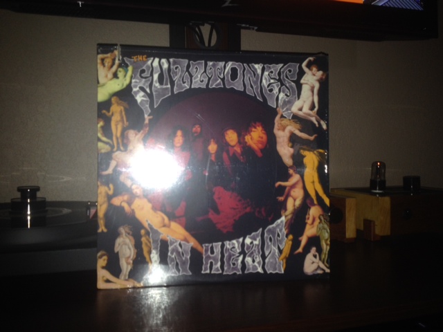the fuzztones in heat x
