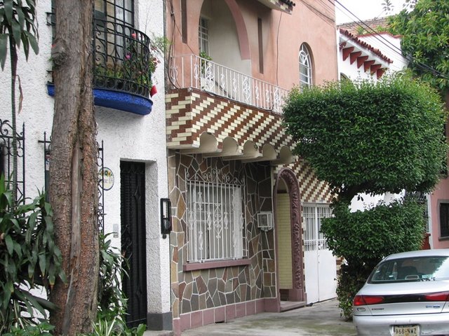 Yaupetec Ave Condesa