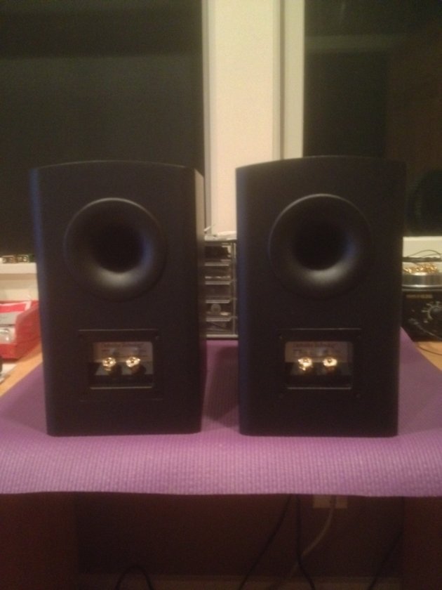 SM 45s rear