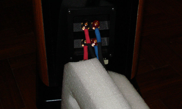 shotgun biwire configuration for the speaker cables