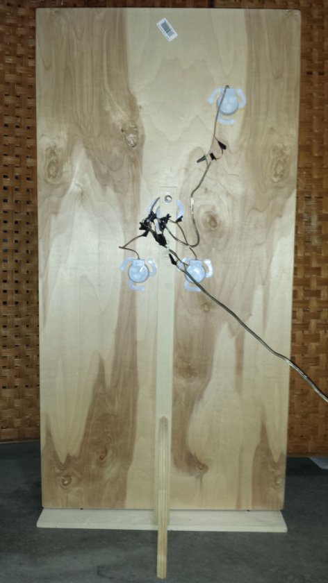 Birch Board Exciter placements