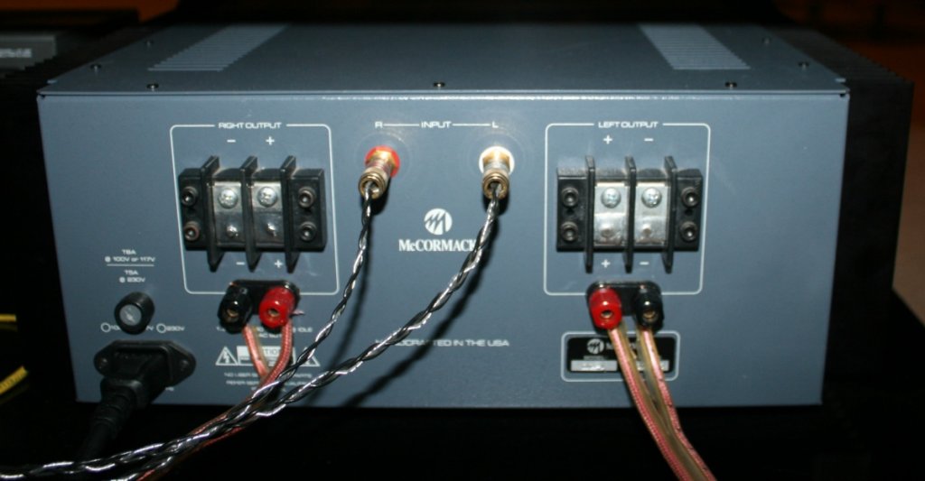 dna1.0 back