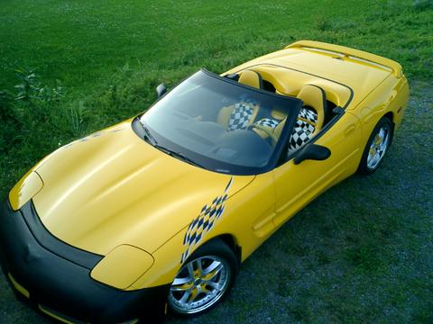 Steve's vette