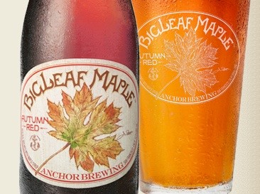 Anchor Steam Big Leaf Maple