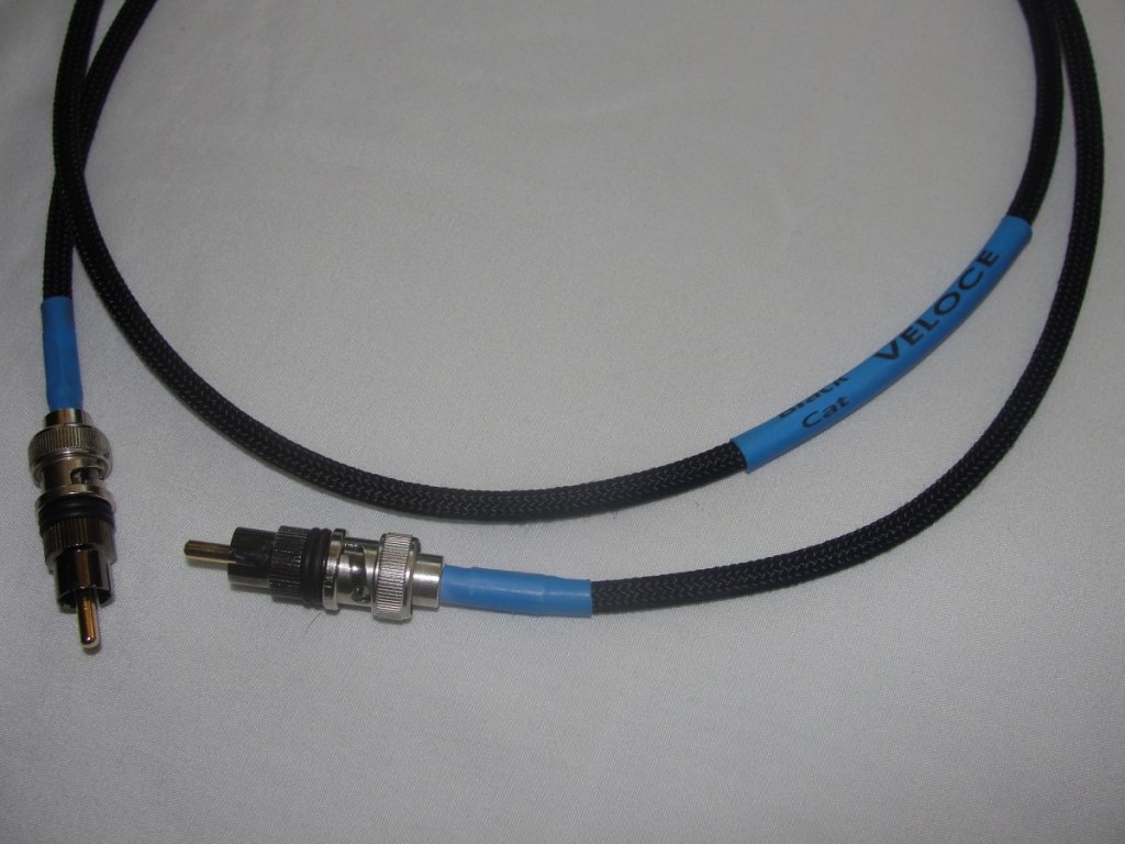 Black Cat Cable 