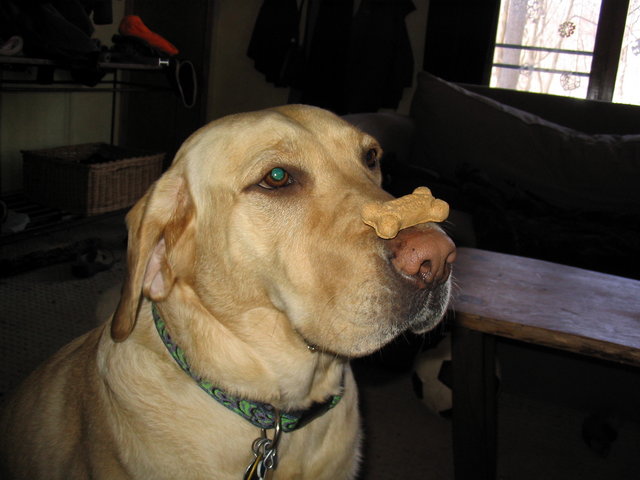 Oscar
