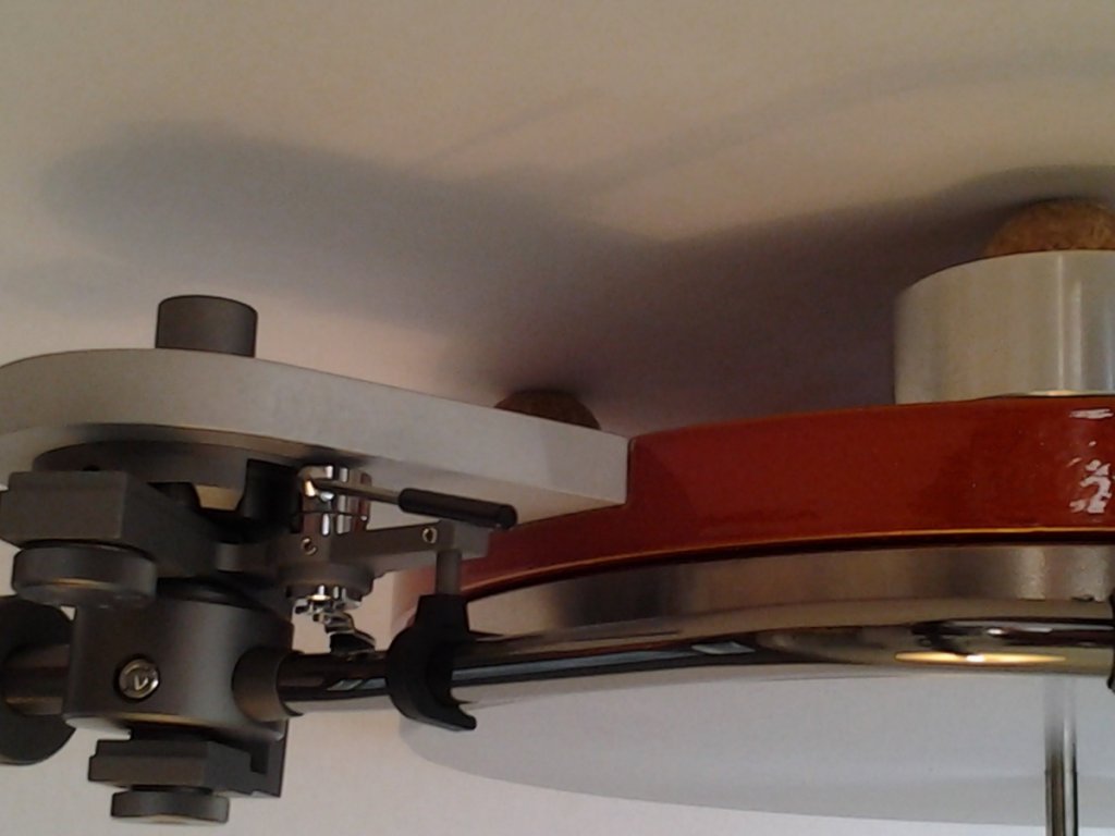 (Untitled)
