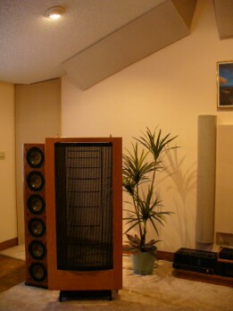 Not so long ago this was my hybrid Martin Logan / Infinity speaker system. I had the Infinity RS1bs for over 17 years, and towards the end of that time introduced the CLS 1 into the equation. I used to switch them in and out. It took 17 years for me to find a suitable replacement. I found that in the new VMPS RM-V60 4 piece reference system.