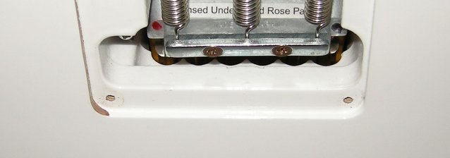 See the paint drips below the trem block.