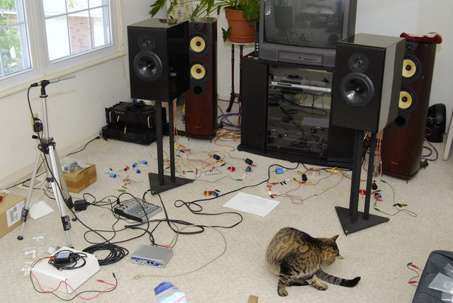 M-165x/XT 25 2-way stereo testing - The speakers setup in stereo, two complete sets of crossovers assembled on the floor with alligator clips. My feline assistant is pre-occupied with butt licking ... he should be running the measurement gear.