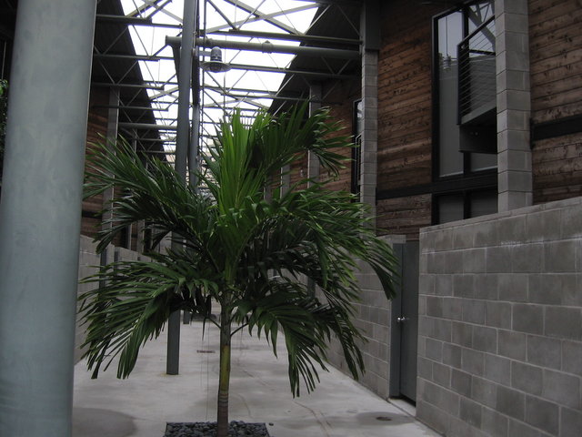 View outside the loft