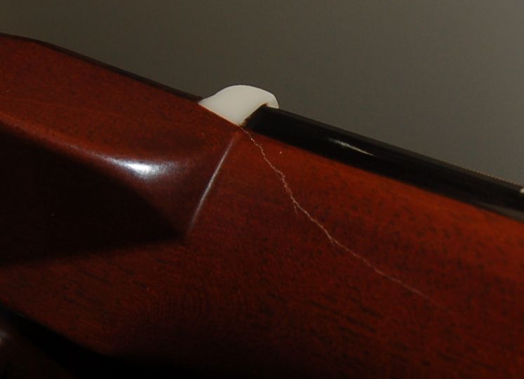 neck2
