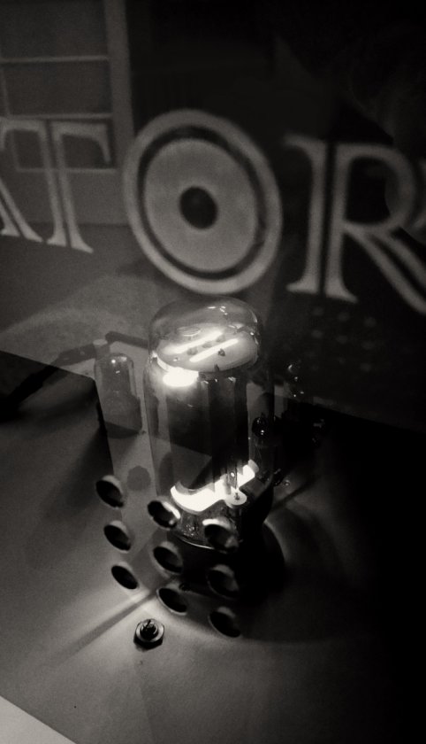 (Untitled)