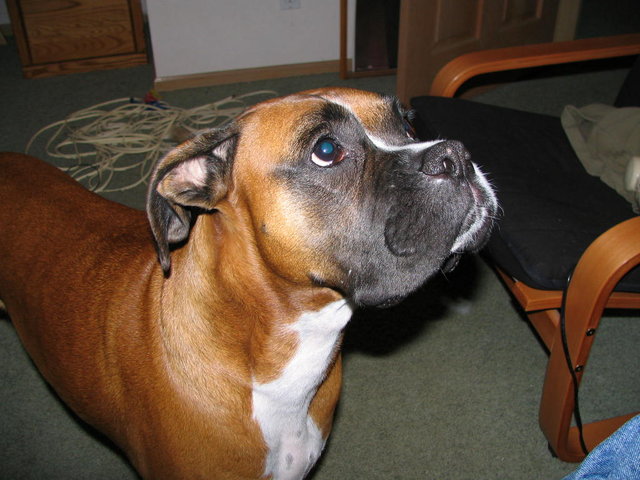 Chloe