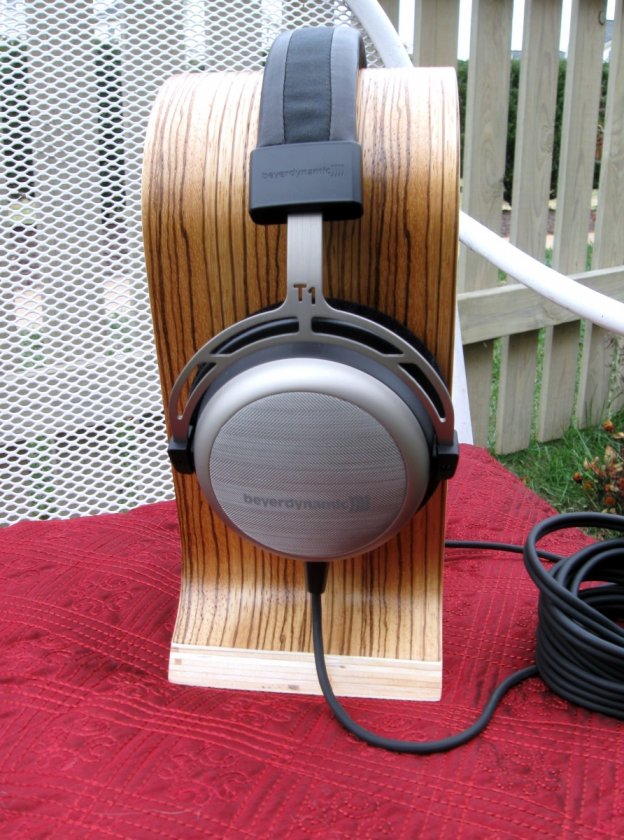 T1 b