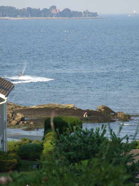 Surfs up - View from Jim's Backyard