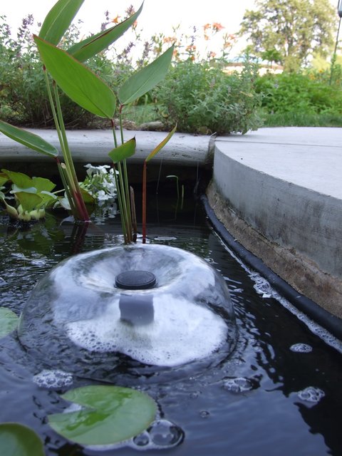 The Pond