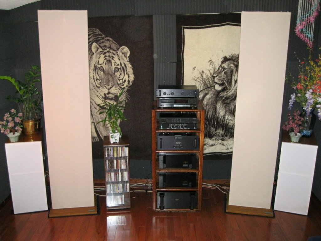 Acoustat 2 2