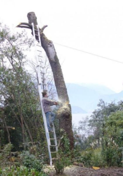 nice try but youre definitely doing it wrong 640 17