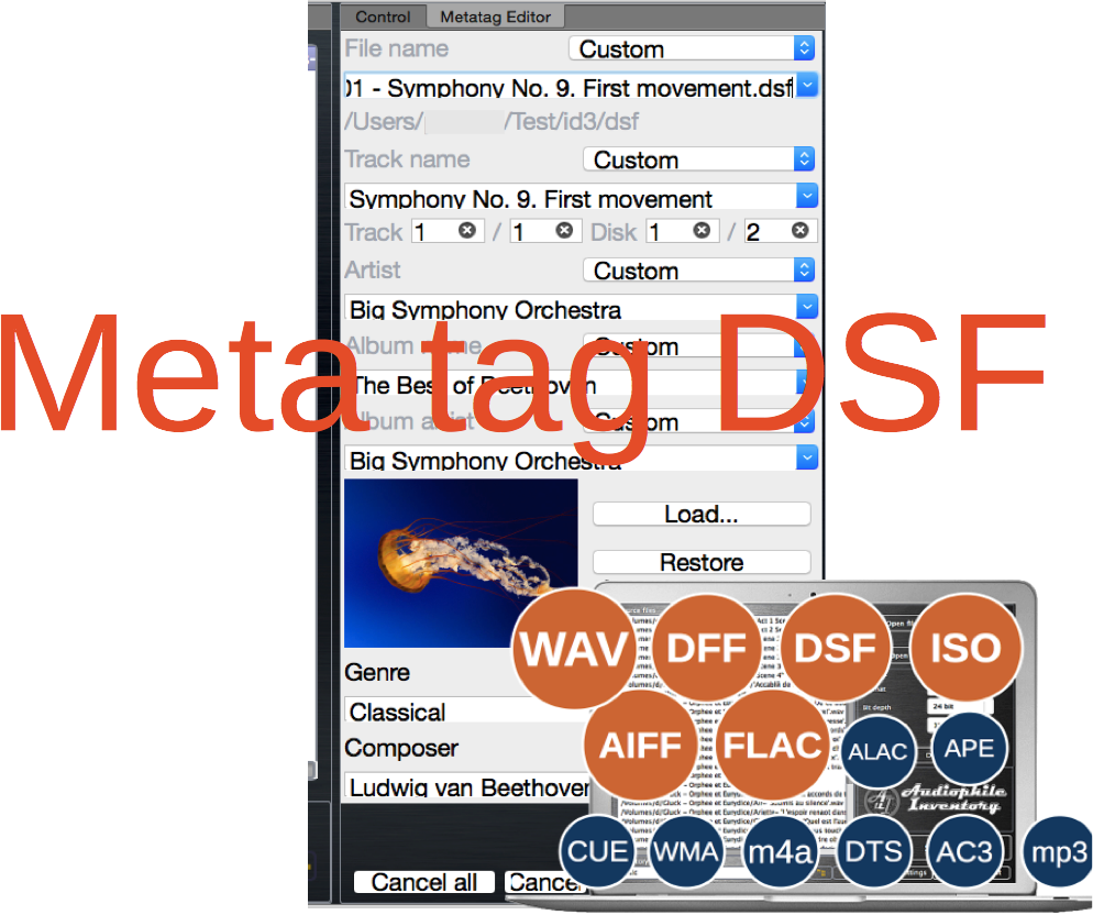 Audio file DSF meta tag editor