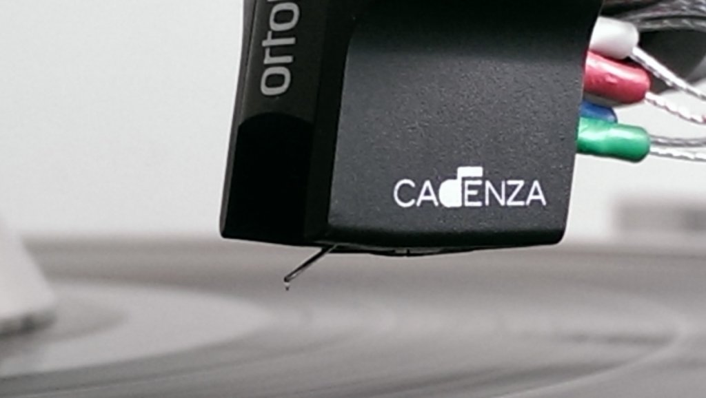 Cadenza Black Close up.