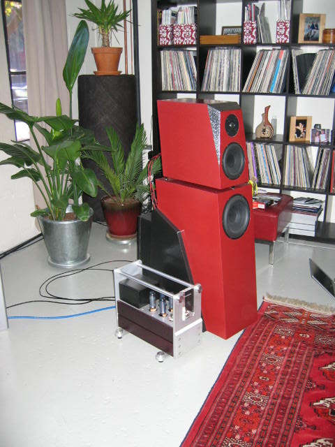 right speaker amp and lots of records