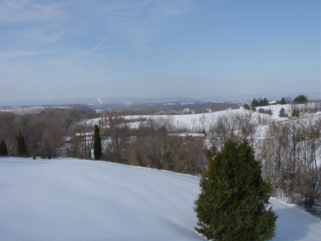 view from the back porch