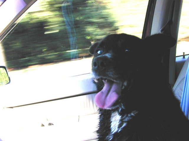 car2