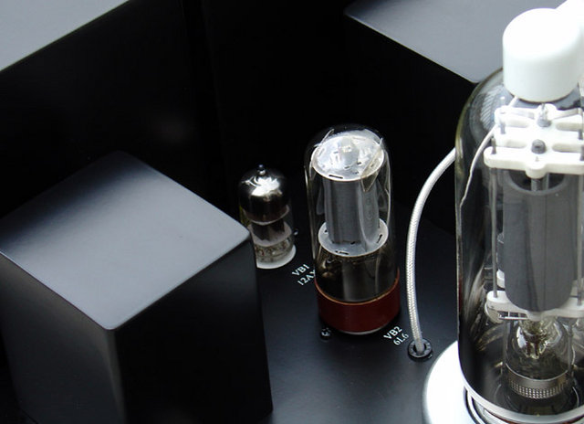 50W SE Monoblock detail GS-805SE