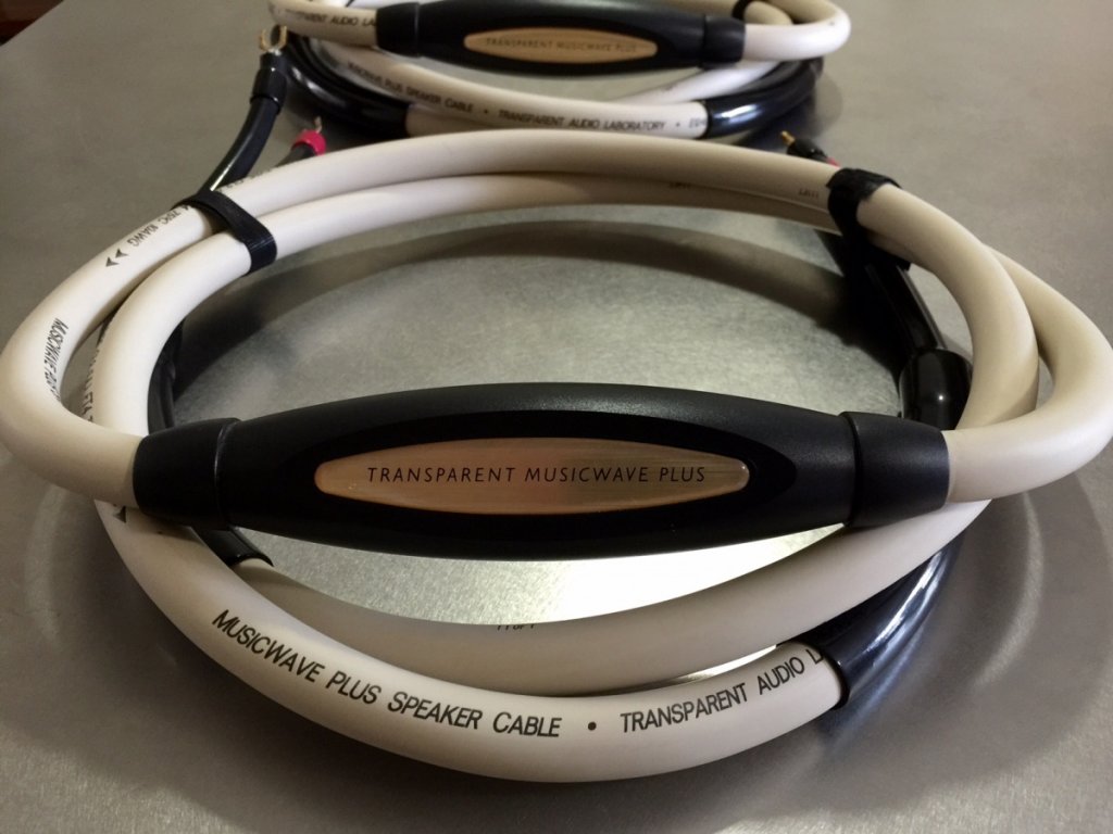 Transparent Speaker Cables 3