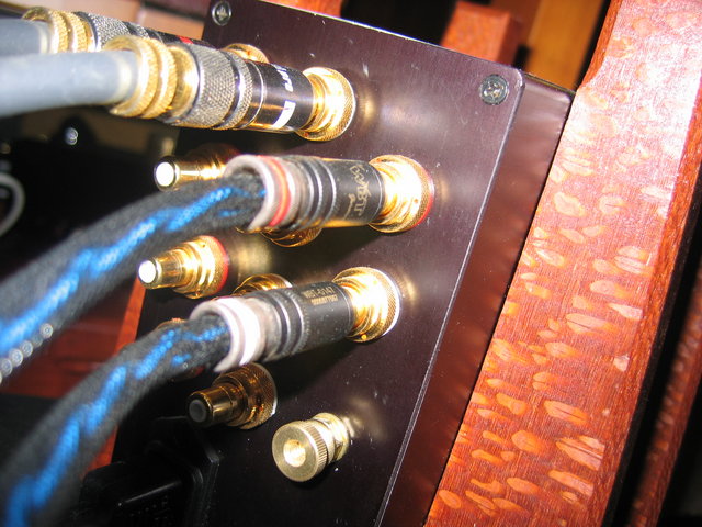 Bugle - Custombuilt Phono Preamp with Hagerman Bugle