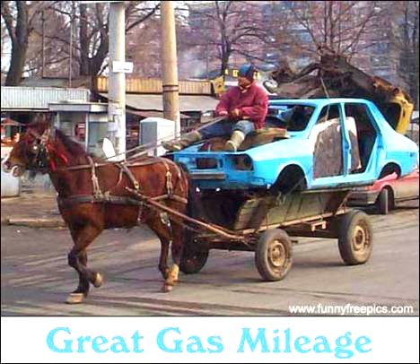 horse car