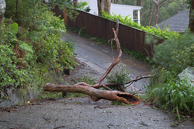 The view from my driveway, April 2015