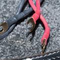 (Untitled)