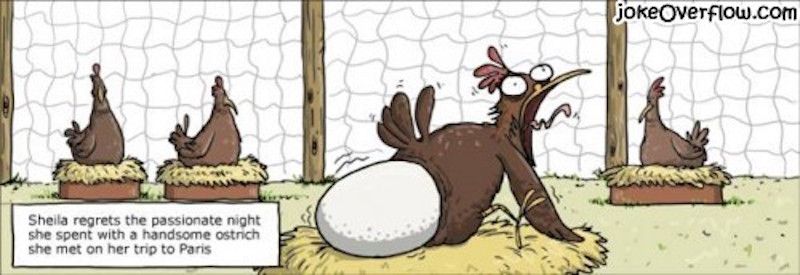 chicken-regret-500x 172