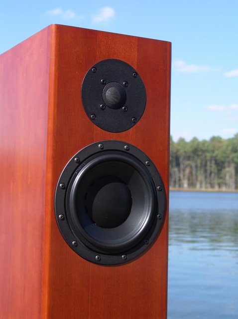 Totem Acoustic Forest
