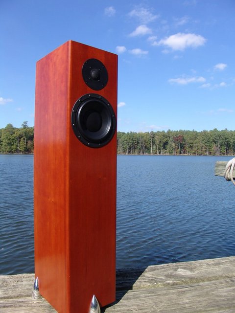 Totem Acoustic Forest