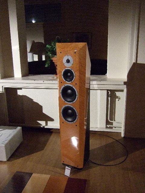 Dynaudio Sapphire . 30 year commemorative edition. - Some new model, sounded very good, and that was under show conditions!
Evidently called The Sapphire. 
Actually, I'd say it sounded like a Master Evidence for smaller rooms!
Or thereabouts..

I'm sure you could buy two sets and place one set inverted on top
of the other set, and clamp them together... hehe! Now would
not that be crazy, I'll say.. But I'm sure it would work!!! 
Hehe, but really, it looks like a bottom half of an evidence speaker!!

But seriously, this was awesomely good from Dynaudio! Almost an Evidence this!!! Almost!!
