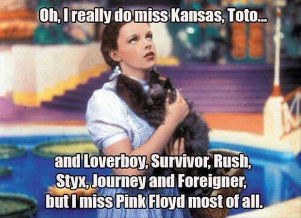 0813-funny-memes 24